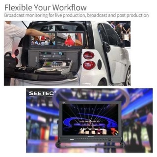 FeelWorld 17.3 INCH P173 9HSD Broadcast Monitor IPS SDI 4K HDMI